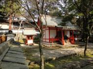 Asisbiz Walk from Nigatsu do to Kasuga taisha Nara sakura season 03