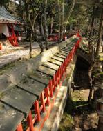 Asisbiz Walk from Nigatsu do to Kasuga taisha Nara sakura season 04