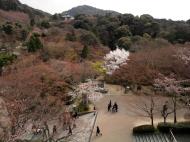 Asisbiz Kiyomizu dera Hon do Kyoto terrace views during cherry blossom season 2010 01