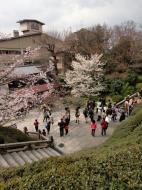 Asisbiz Kiyomizu dera entrance facing back towards Kyoto during cherry blossom season 01