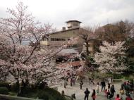 Asisbiz Kiyomizu dera entrance facing back towards Kyoto during cherry blossom season 02