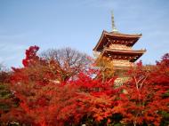 Asisbiz Otowa san Kiyomizu dera Pagoda Kyoto Nov 2009 12