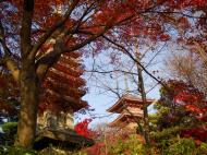 Asisbiz Otowa san Kiyomizu dera Pagoda Kyoto Nov 2009 15