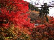 Asisbiz Otowa san Kiyomizu dera Temple Kyoto Japan Nov 2009 09