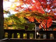 Asisbiz Otowa san Kiyomizu dera Temple Kyoto Japan Nov 2009 11