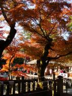 Asisbiz Otowa san Kiyomizu dera Temple Kyoto Japan Nov 2009 13