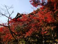 Asisbiz Otowa san Kiyomizu dera Temple Kyoto Japan Nov 2009 41