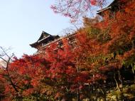 Asisbiz Otowa san Kiyomizu dera Temple Kyoto Japan Nov 2009 42