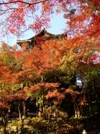 Asisbiz Otowa san Kiyomizu dera Temple Kyoto Japan Nov 2009 43