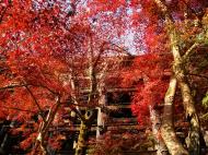 Asisbiz Otowa san Kiyomizu dera Temple Kyoto Japan Nov 2009 45