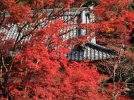 Asisbiz Otowa san Kiyomizu dera Temple Kyoto Japan Nov 2009 50