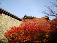 Asisbiz Otowa san Kiyomizu dera Temple wall Kyoto Japan Nov 2009 05