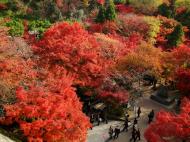 Asisbiz Otowa san Kiyomizu dera garden walkways Kyoto Nov 2009 02