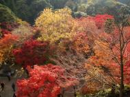 Asisbiz Otowa san Kiyomizu dera garden walkways Kyoto Nov 2009 08