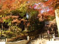 Asisbiz Otowa san Kiyomizu dera garden walkways Kyoto Nov 2009 19