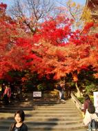 Asisbiz Otowa san Kiyomizu dera garden walkways Kyoto Nov 2009 21