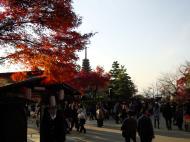 Asisbiz Otowa san Kiyomizu dera garden walkways Kyoto Nov 2009 43