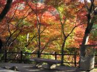 Asisbiz Otowa san Kiyomizu dera garden walkways Kyoto Nov 2009 44