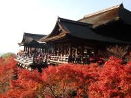 Asisbiz Otowa san Kiyomizu dera main hall Kyoto Nov 2009 12