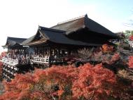 Asisbiz Otowa san Kiyomizu dera main hall Kyoto Nov 2009 28