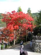 Asisbiz Otowa san Kiyomizu dera main hall shrine room Nov 2009 24