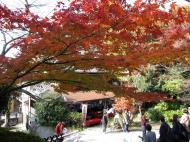 Asisbiz Otowa san Kiyomizu dera street entrance Kyoto Nov 2009 12