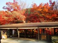 Asisbiz Otowa san Kiyomizu dera temple gardens Kyoto Nov 2009 01