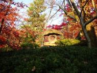 Asisbiz Otowa san Kiyomizu dera temple gardens Kyoto Nov 2009 07