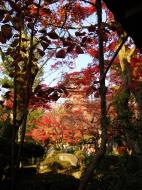 Asisbiz Otowa san Kiyomizu dera temple gardens Kyoto Nov 2009 09