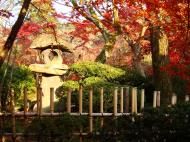 Asisbiz Otowa san Kiyomizu dera temple gardens Kyoto Nov 2009 10