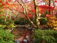 Asisbiz Otowa san Kiyomizu dera temple gardens Kyoto Nov 2009 13