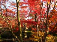 Asisbiz Otowa san Kiyomizu dera temple gardens Kyoto Nov 2009 15