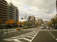 Asisbiz Kyoto City Bus ride to Kinkaku ji Temple and Zen Gardens Japan Nov 2009 06