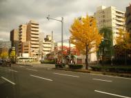 Asisbiz Kyoto City Bus ride to Kinkaku ji Temple and Zen Gardens Japan Nov 2009 09