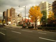 Asisbiz Kyoto City Bus ride to Kinkaku ji Temple and Zen Gardens Japan Nov 2009 10