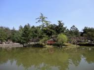 Asisbiz Kagami ike pond just past Nandaimon gate Nara sakura season 01