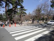 Asisbiz One of the zebra crossings heading towards Kasuga Grand Shrine Nara 01