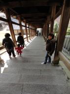 Asisbiz Japanese architectural style Nigatsu do undercover stair way 2010 01