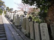 Asisbiz Nigatsu do engraved stone pillars Nara Japan sakura 05