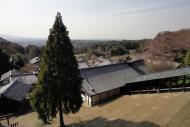 Asisbiz Nigatsu do hall balcony views looking over Nara Japan sakura 02