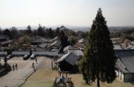 Asisbiz Nigatsu do hall balcony views looking over Nara Japan sakura 03