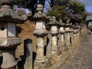 Asisbiz Pathway to Nigatsu do hall stone tanterns line the walkway sakura season 01