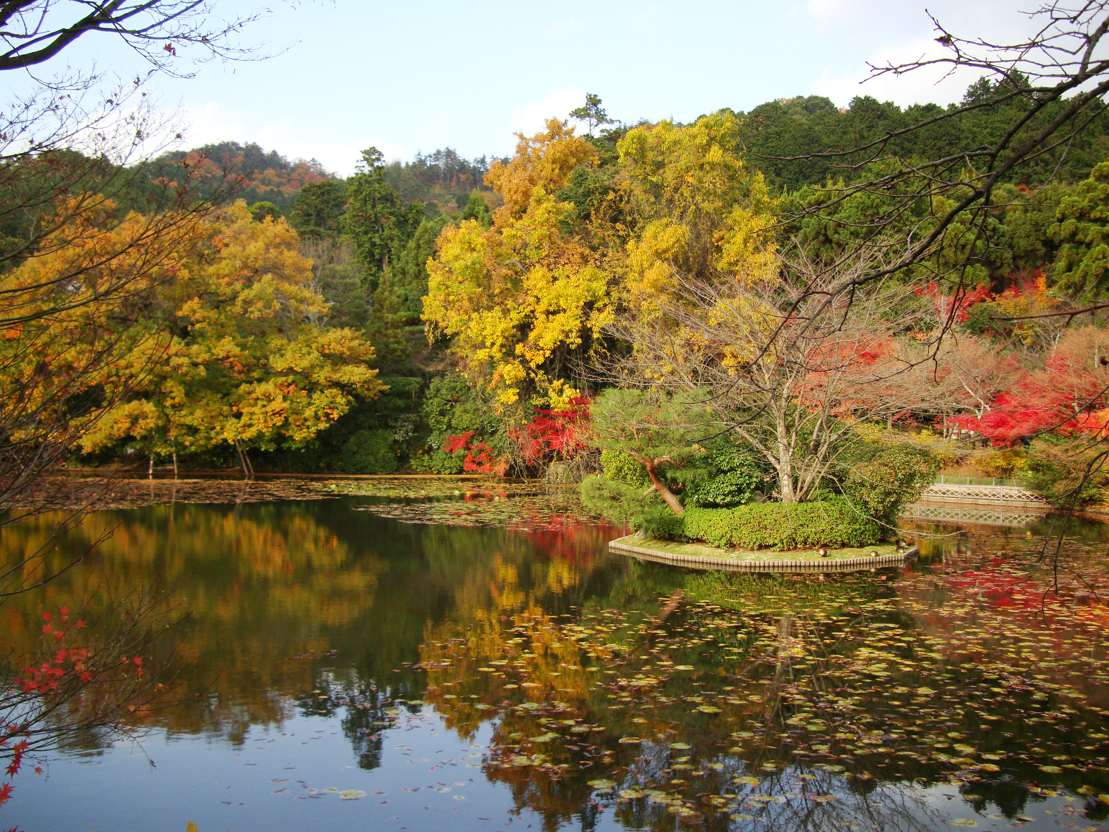 Asisbiz Photo's of Ryōan-ji,Ryoan-ji Temple,龍安寺,鹿苑寺,Kyoto, 京都, Kyōto, Japan