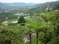 Asisbiz Cameron Highlands panoramic views 2000 17