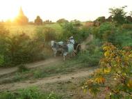 Asisbiz Bullock Cart Pagan Oct 2004 06