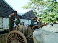 Asisbiz Pagan Mount Popa bullock water carts Nov 2004 16