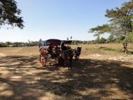 Asisbiz Hlwaga Lake Pagoda horse and carts Mingaladon Yangon Myanmar 2010 02