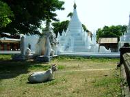 Asisbiz Myanmar Sagaing numerous pagodas Nov 2004 04