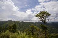 Asisbiz Benguet Nueva Vizcaya Rd mountain views of Bokod Benguet province Philippines Aug 2011 20