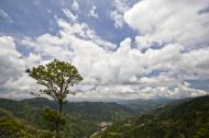 Asisbiz Benguet Nueva Vizcaya Rd mountain views of Bokod Benguet province Philippines Aug 2011 21